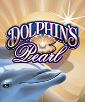 Dolphins Pearl